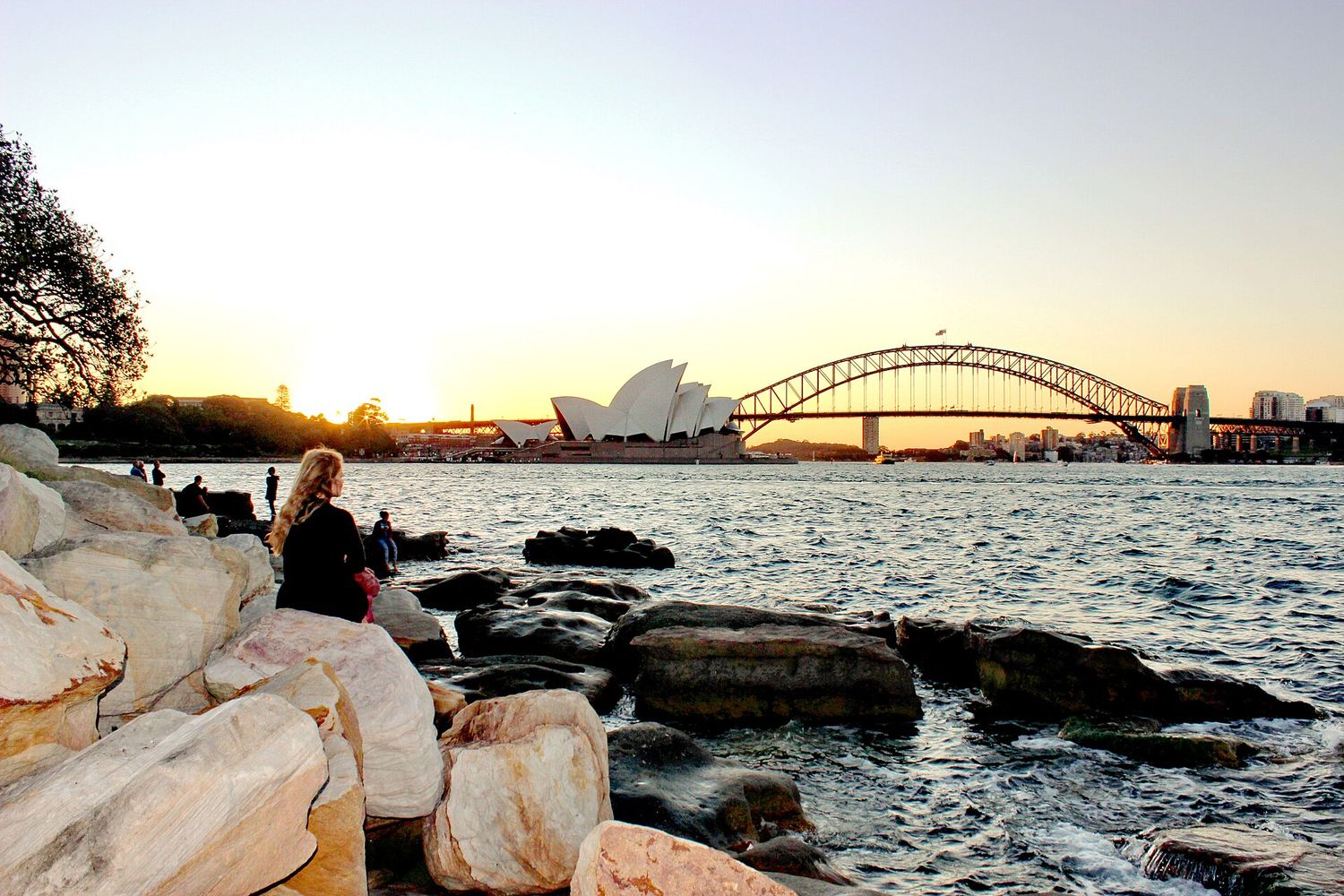 Sunset over Sydney Harbour from Mrs Macquarie's Chair - golden hour engagement photo location in Sydney