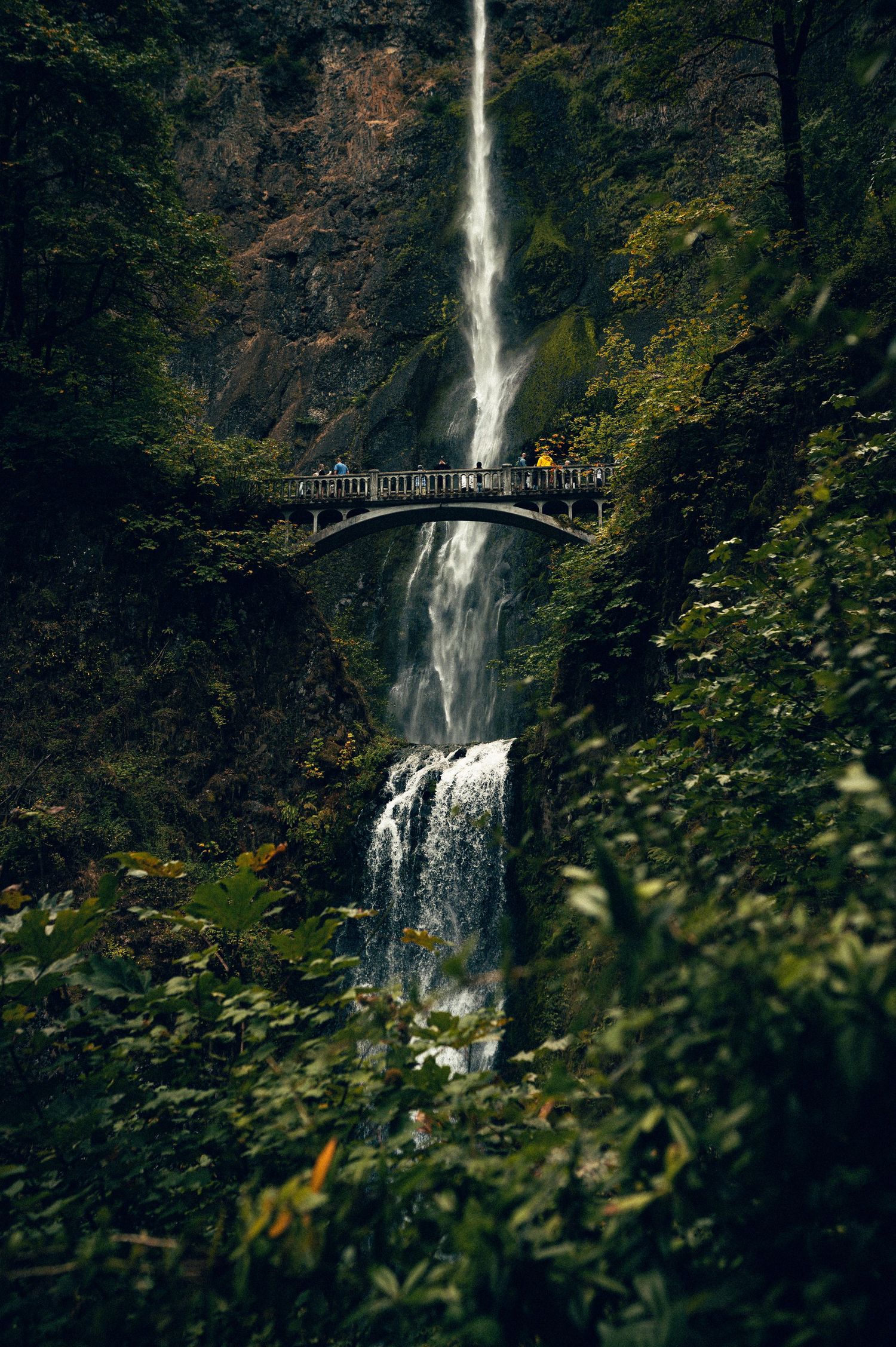 20 best things to do along the Oregon coast. Multnomah Falls Oregon. Oregon Coast Destination and travel photography by Carl James
