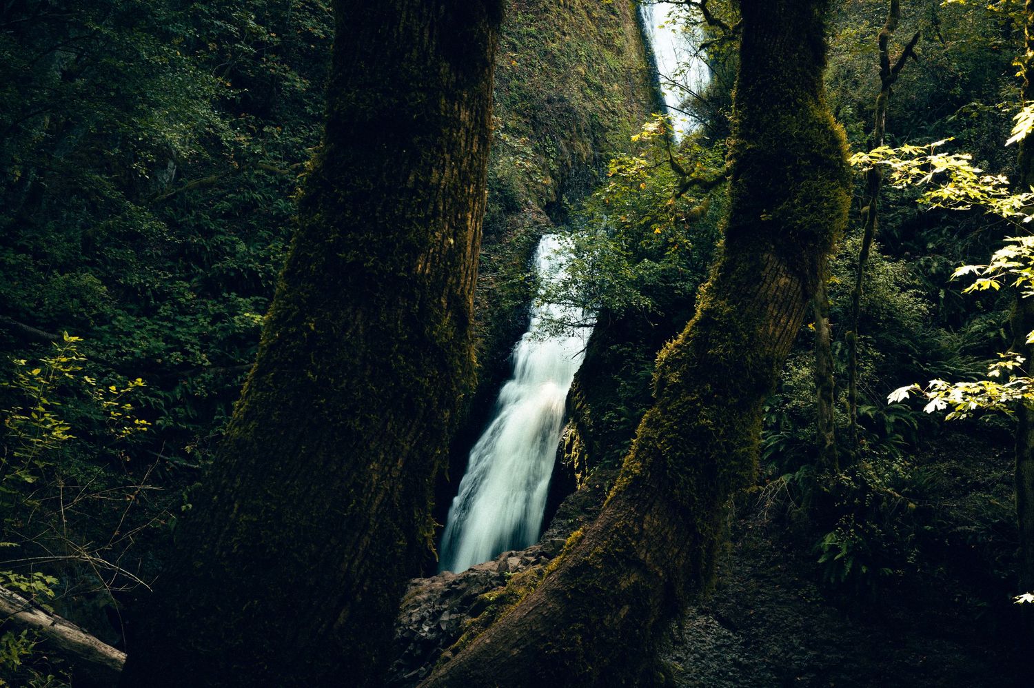 20 best things to do along the Oregon coast. Bridal Veil Falls Oregon. Oregon Coast Destination and travel photography by Carl James