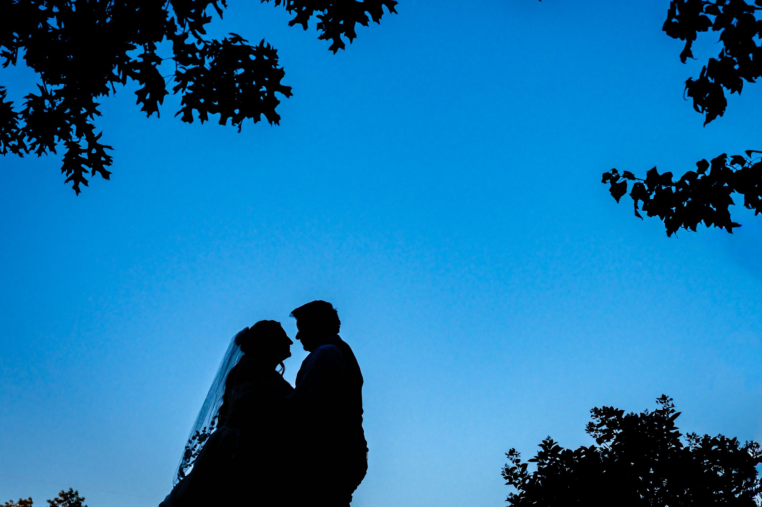 Romantic silhouette of bride and groom nearly kissing against a vivid blue twilight sky.