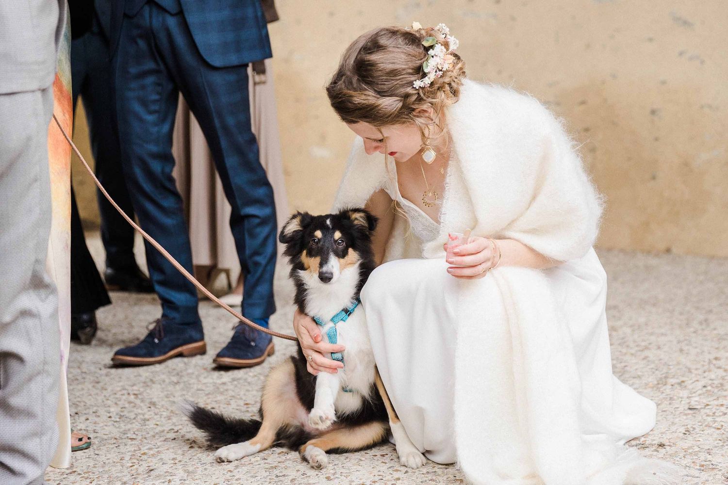 La mariée fait un câlin à son chien pendant le vin d'honneur de son mariage