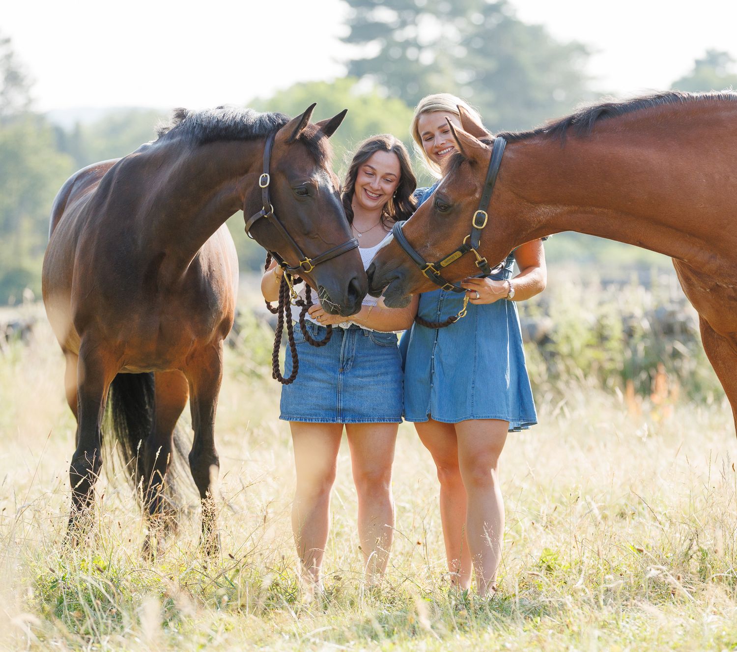 A horse and its rider enjoy an outdoor photoshoot session near rustic wooden fencing on a sunny day.