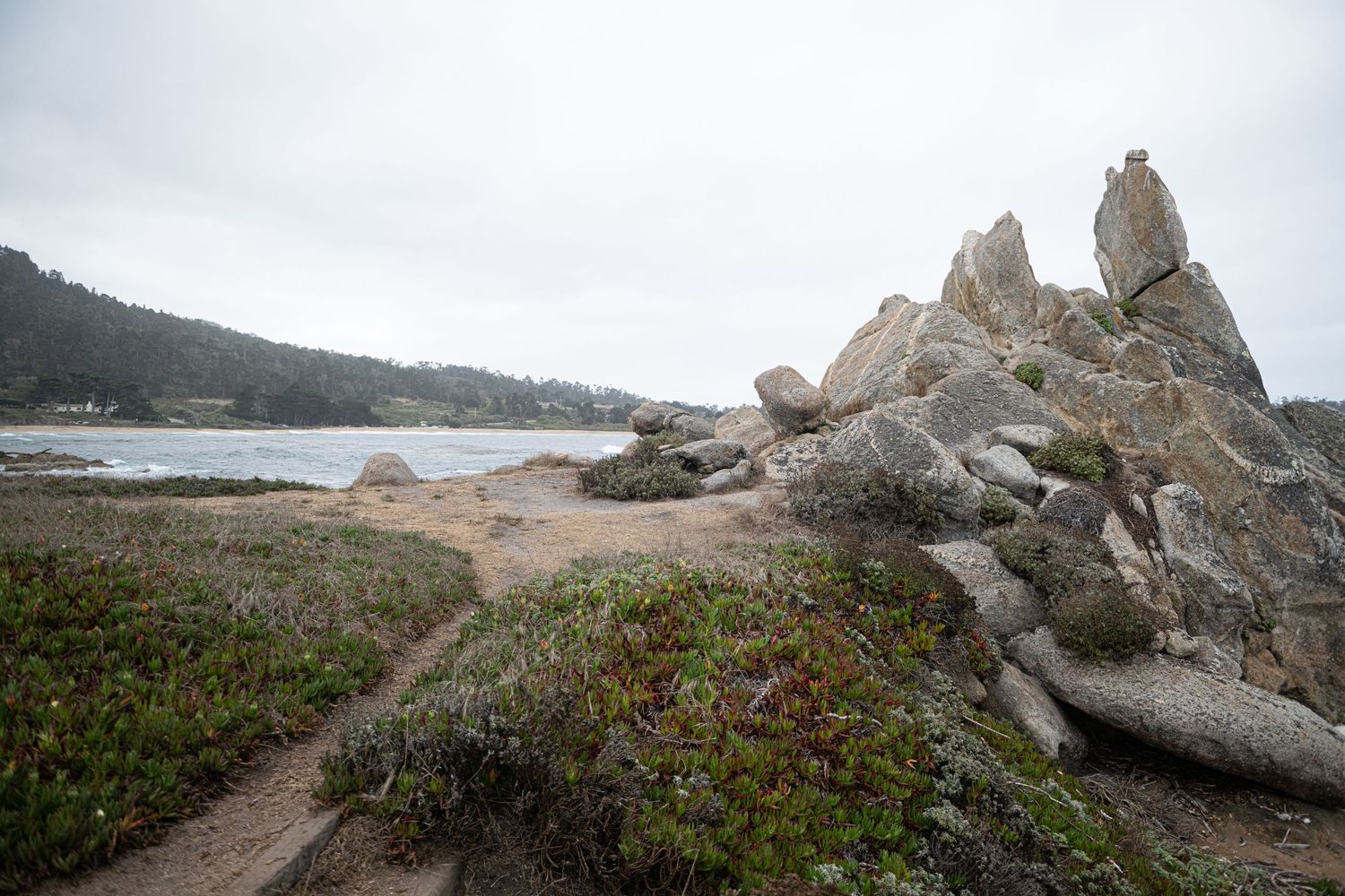 Weathered driftwood logs rest on a sandy rocky shore as foamy ocean waves roll in beneath a hazy gray sky with a forested coastline beyond.