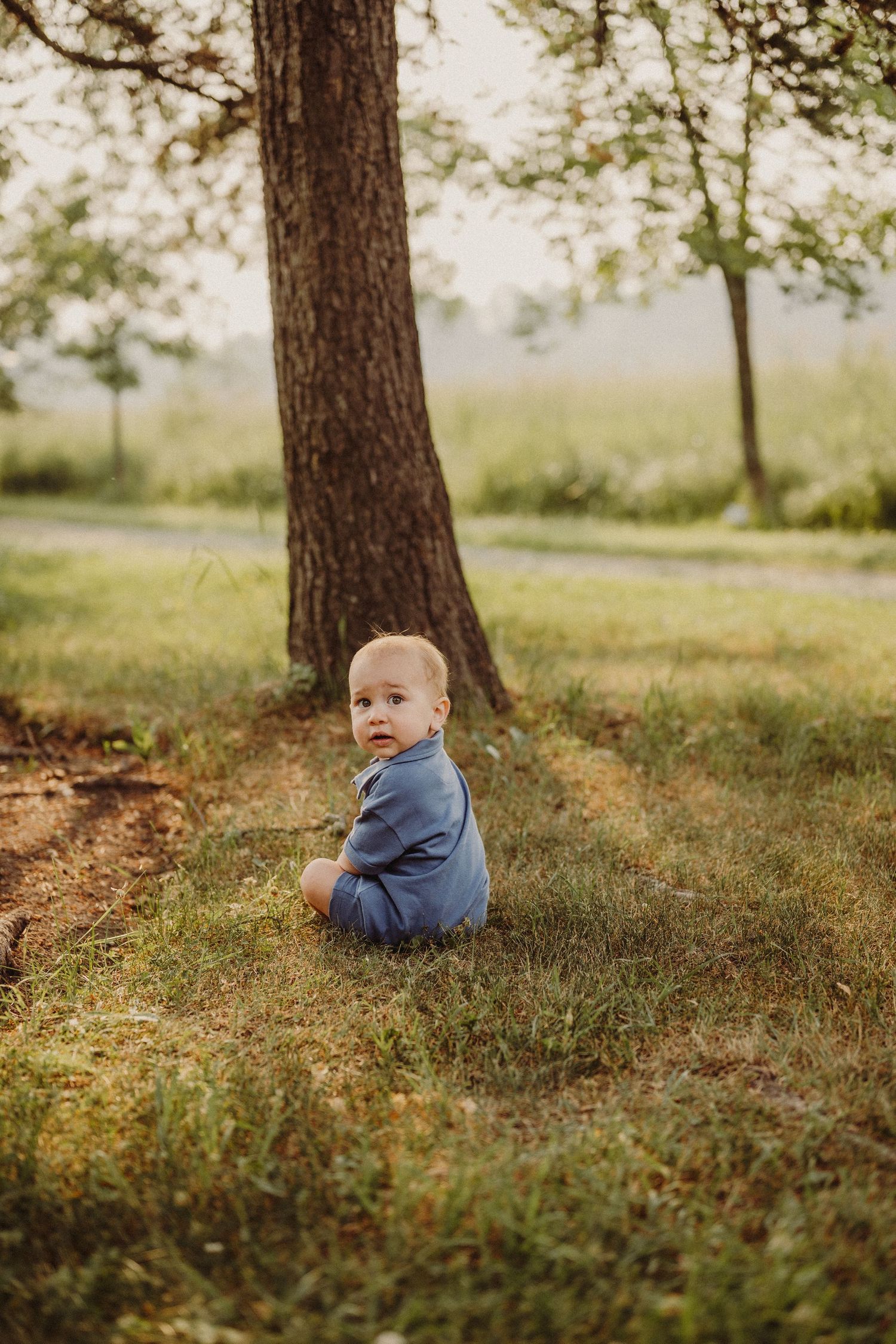A baby in a blue romper sits on green grass in a park near a large tree, looking back at the camera.