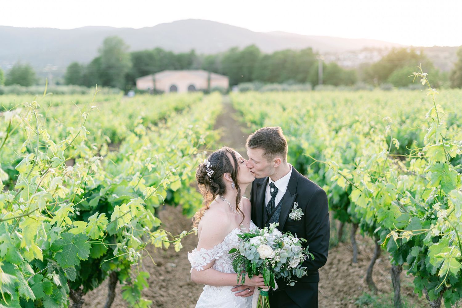 Bride and groom share a romantic kiss among lush vineyard rows at golden hour, bride holding white floral bouquet.