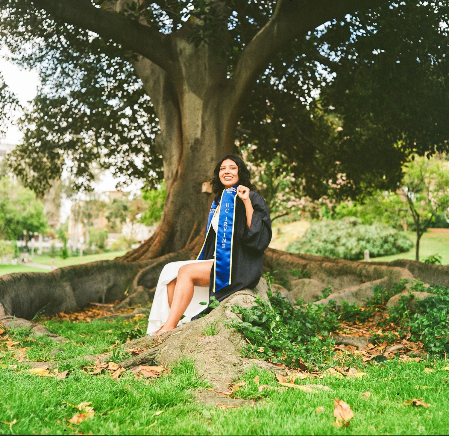 UCI Graduate in cap and gown smiles while sitting on rocks beneath a large tree in a lush green park.