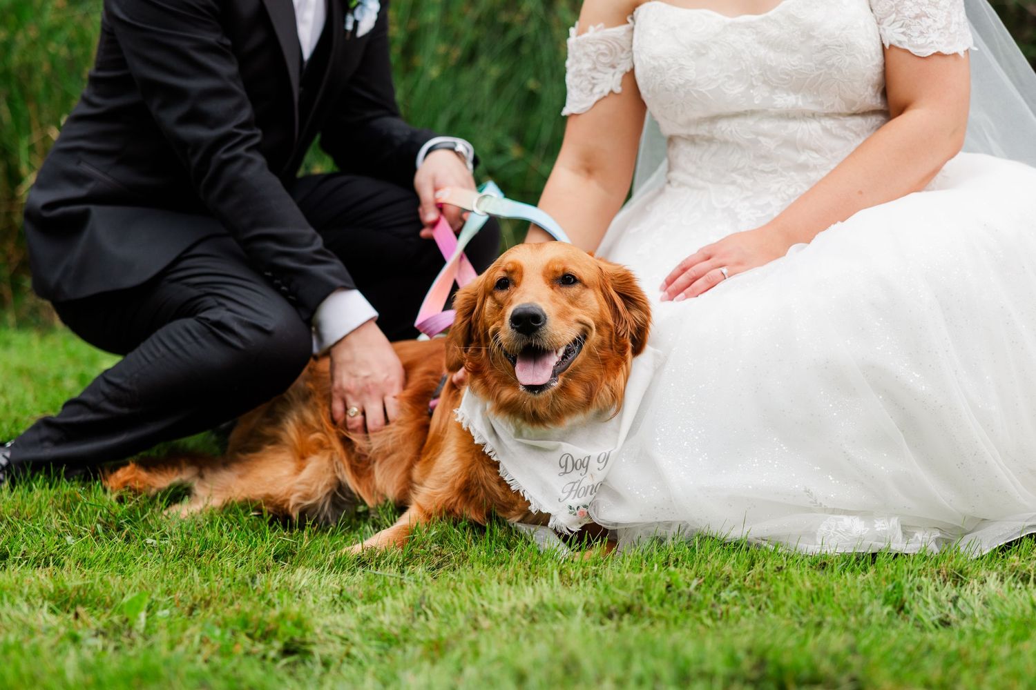 A happy golden retriever wearing a white bandana sits between a bride in lace gown and groom in black suit on green grass.