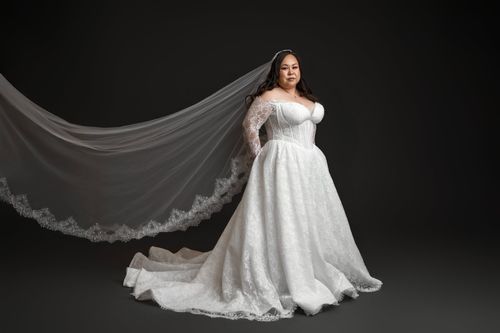 Bride in elegant lace ball gown with flowing cathedral veil poses in dramatic studio portrait.
