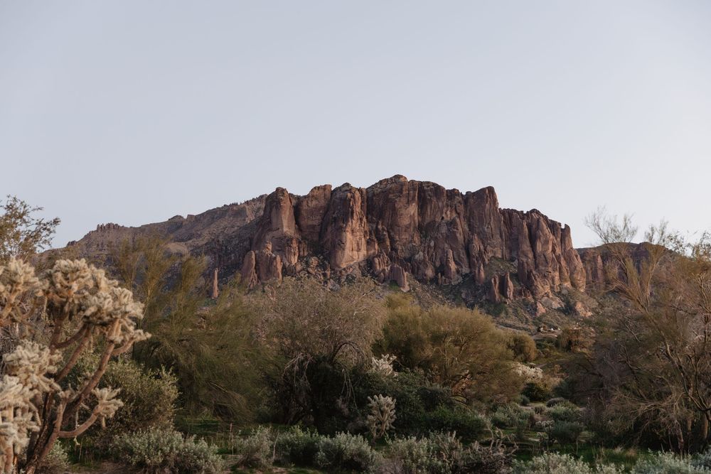 Rocky desert mountain with rugged cliffs rises above lush desert shrubs and trees under a pale blue sky.