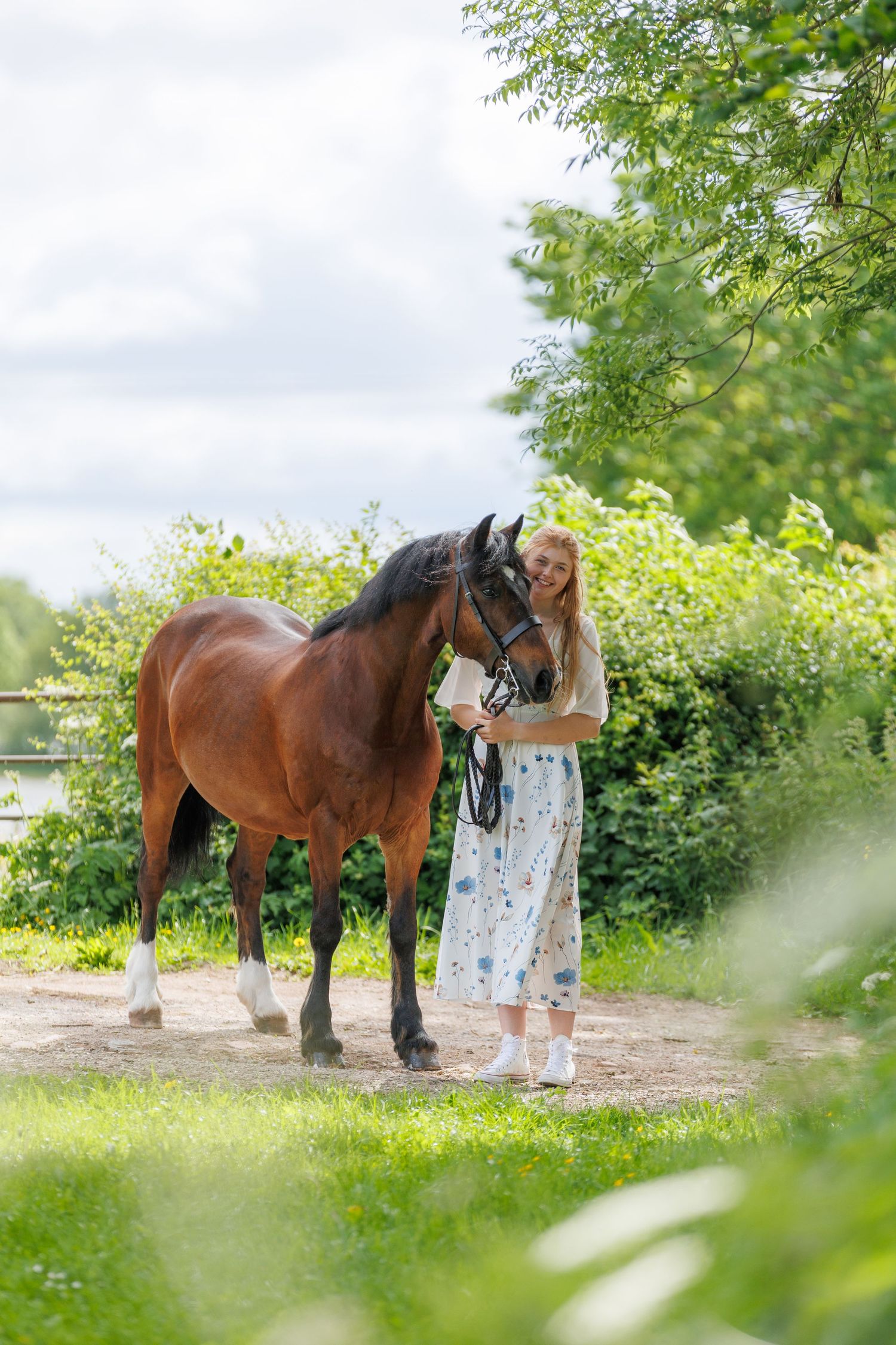 A series of photos showing a person with red hair interacting with a dark horse in a soft-focus outdoor setting.