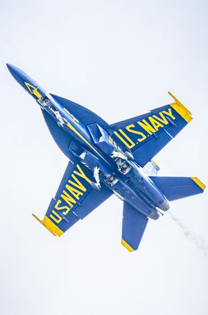 U.S. Navy Blue Angels F/A-18 Hornet jet performing aerial maneuver at airshow, blue and gold livery visible from below.