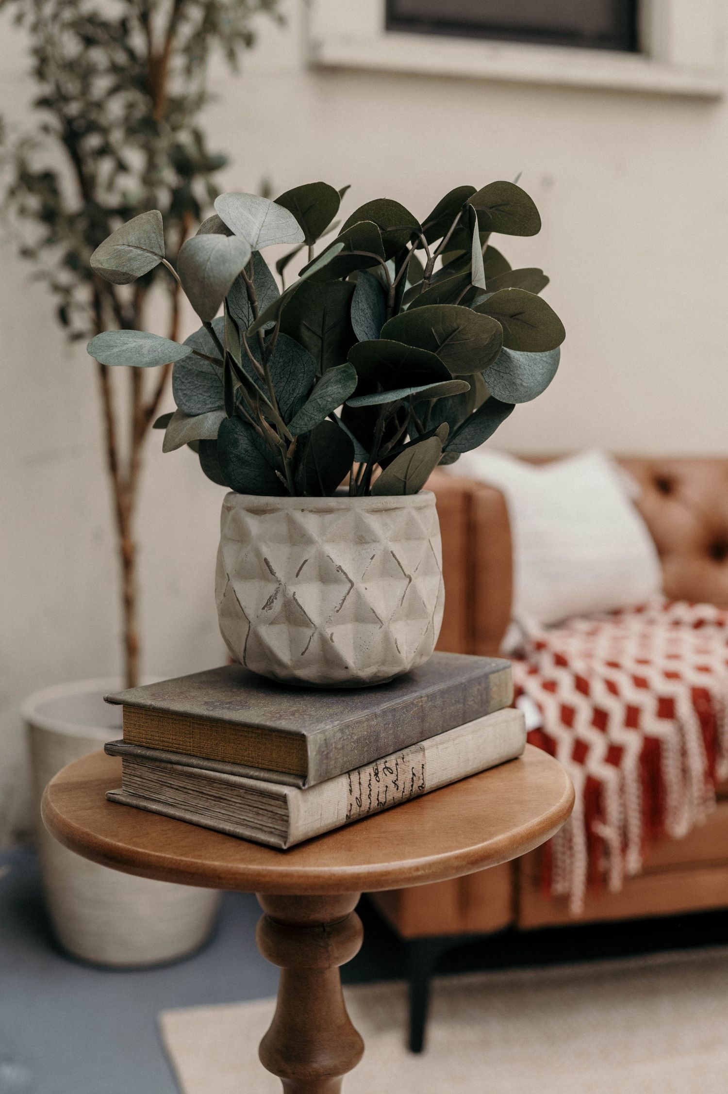 A geometric concrete pot with eucalyptus sits atop stacked books on a wooden side table near a leather sofa.