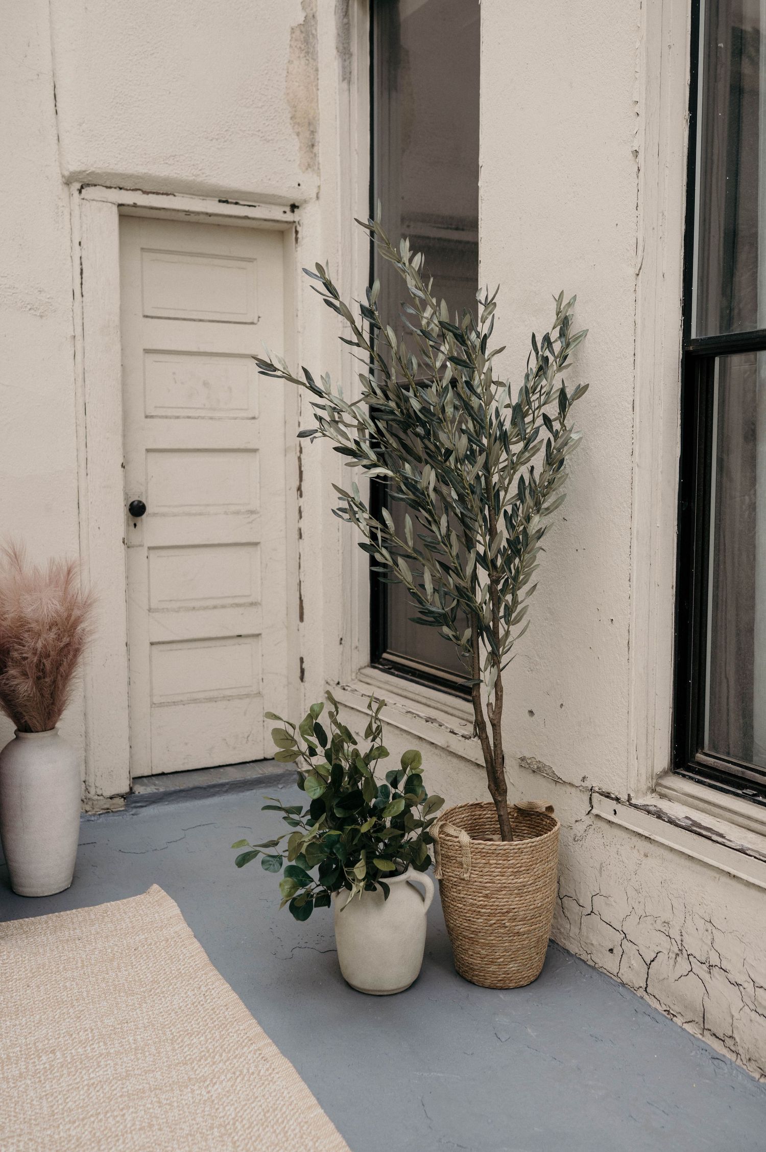 White door entrance with olive tree in wicker basket and green plant in white pot against rustic building exterior.
