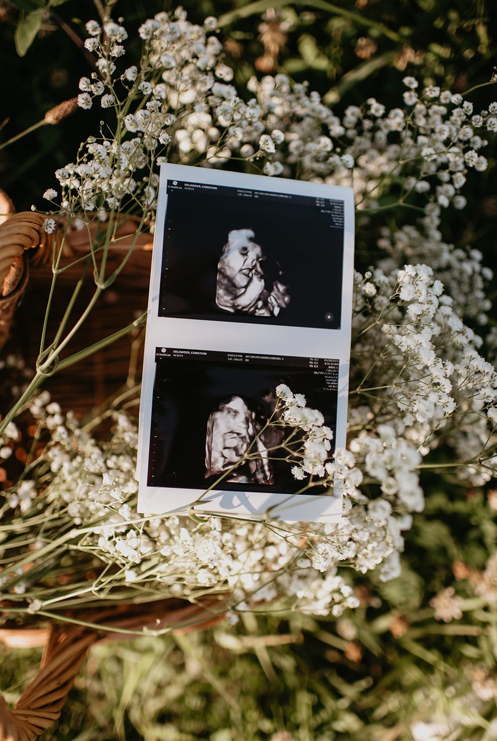 Photo by TBP