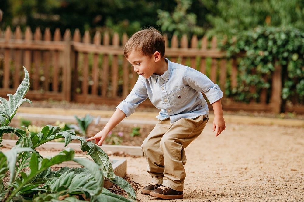 A young boy in a blue shirt explores a garden, reaching out to touch green plants outdoors.