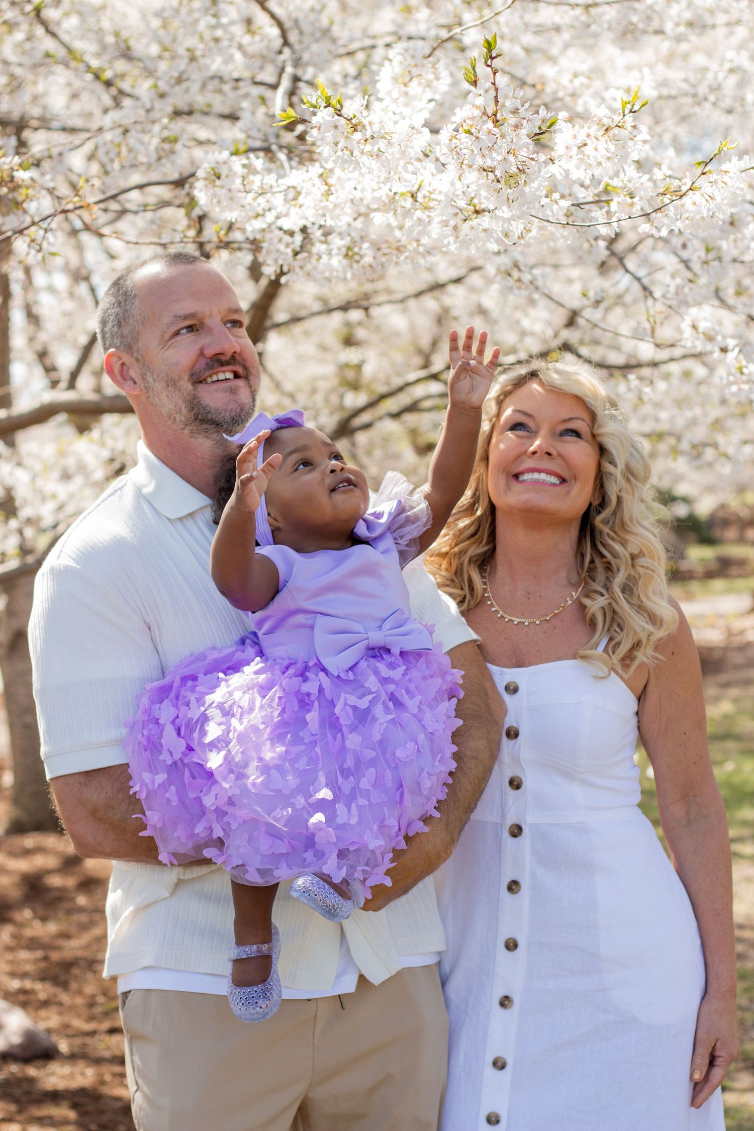 Family portrait with couple holding baby girl in purple dress under blooming white cherry blossom trees outdoors.