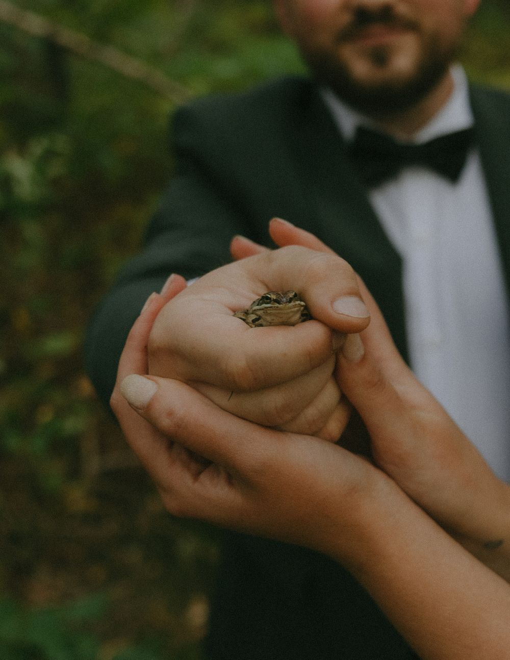 A couple in wedding attire gently holds a small frog in their cupped hands outdoors.