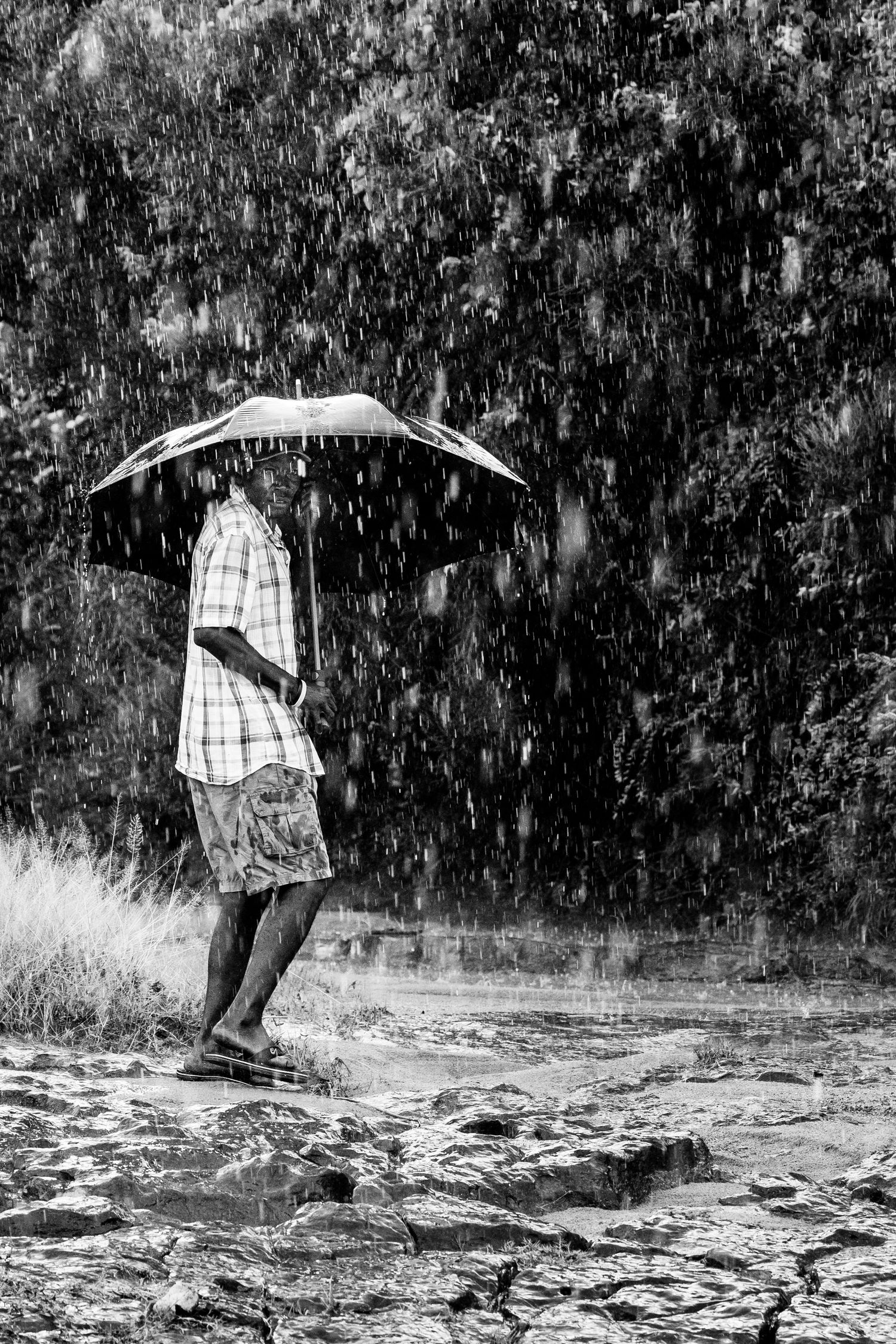 Black and white photo of a person holding an umbrella standing on rocks in heavy rain with lush trees in background.
