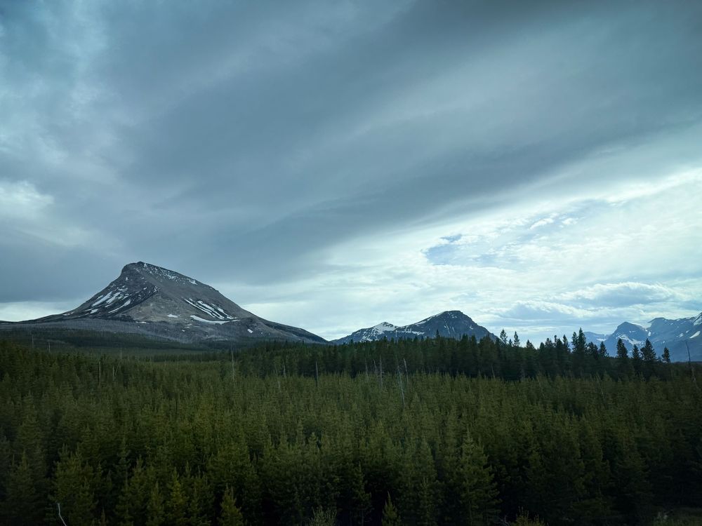 Dense evergreen forest stretches beneath dramatic storm clouds over rugged mountain peaks with snow-capped summits in the wilderness.