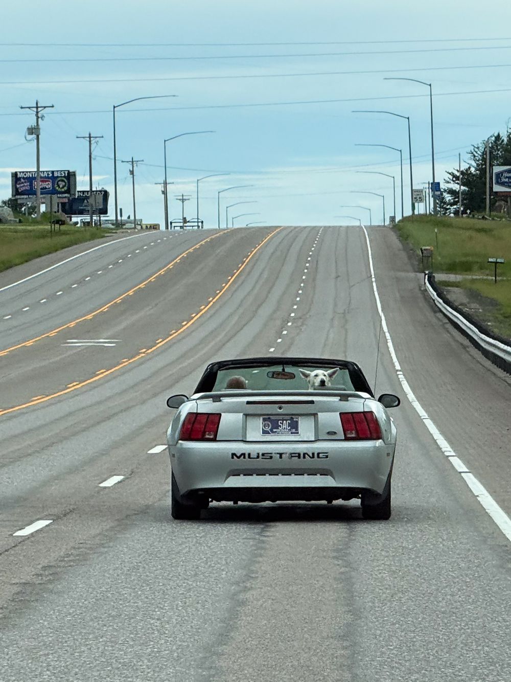 Silver Ford Mustang convertible driving on a straight open highway under a cloudy sky, rear view showing iconic Mustang badge.