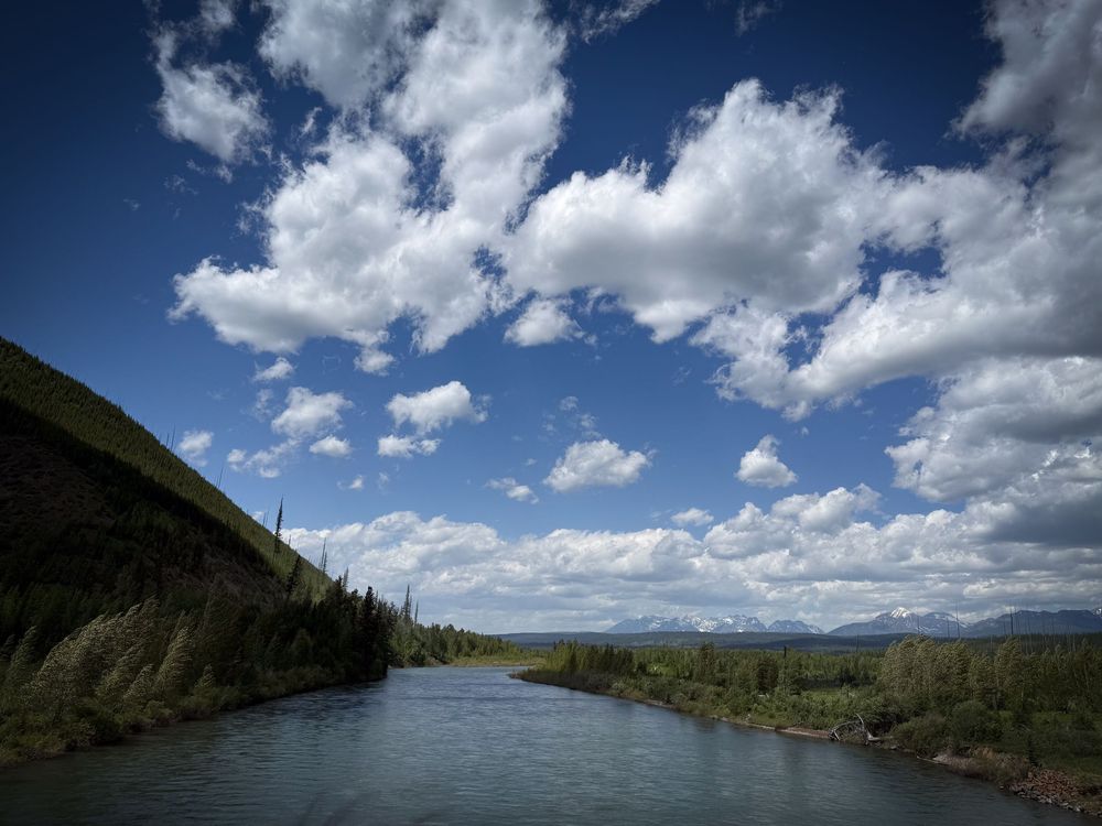 A serene river winds through a lush green forest under a vivid blue sky with fluffy white clouds in a scenic wilderness.