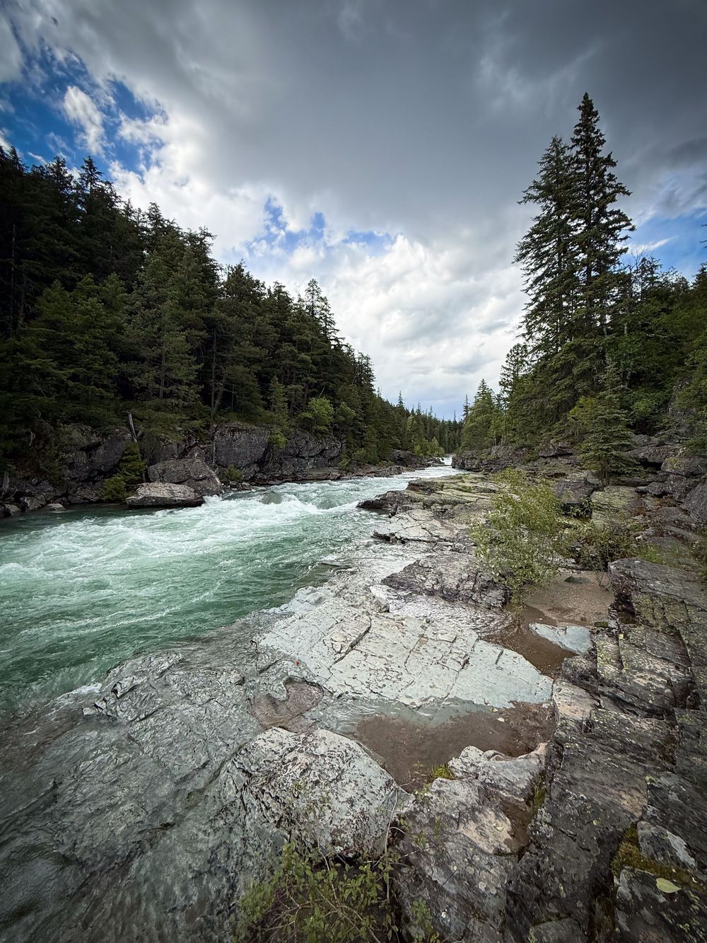 Turquoise mountain river flowing through rocky terrain surrounded by evergreen forest.