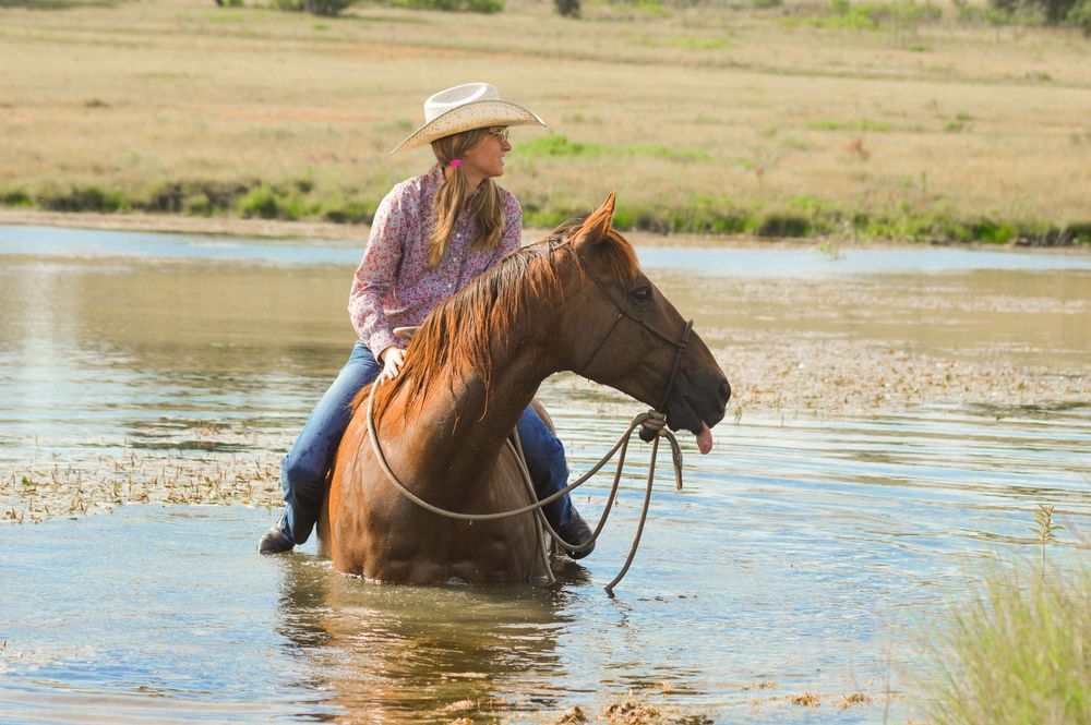 Horse and rider in pond look off to the right