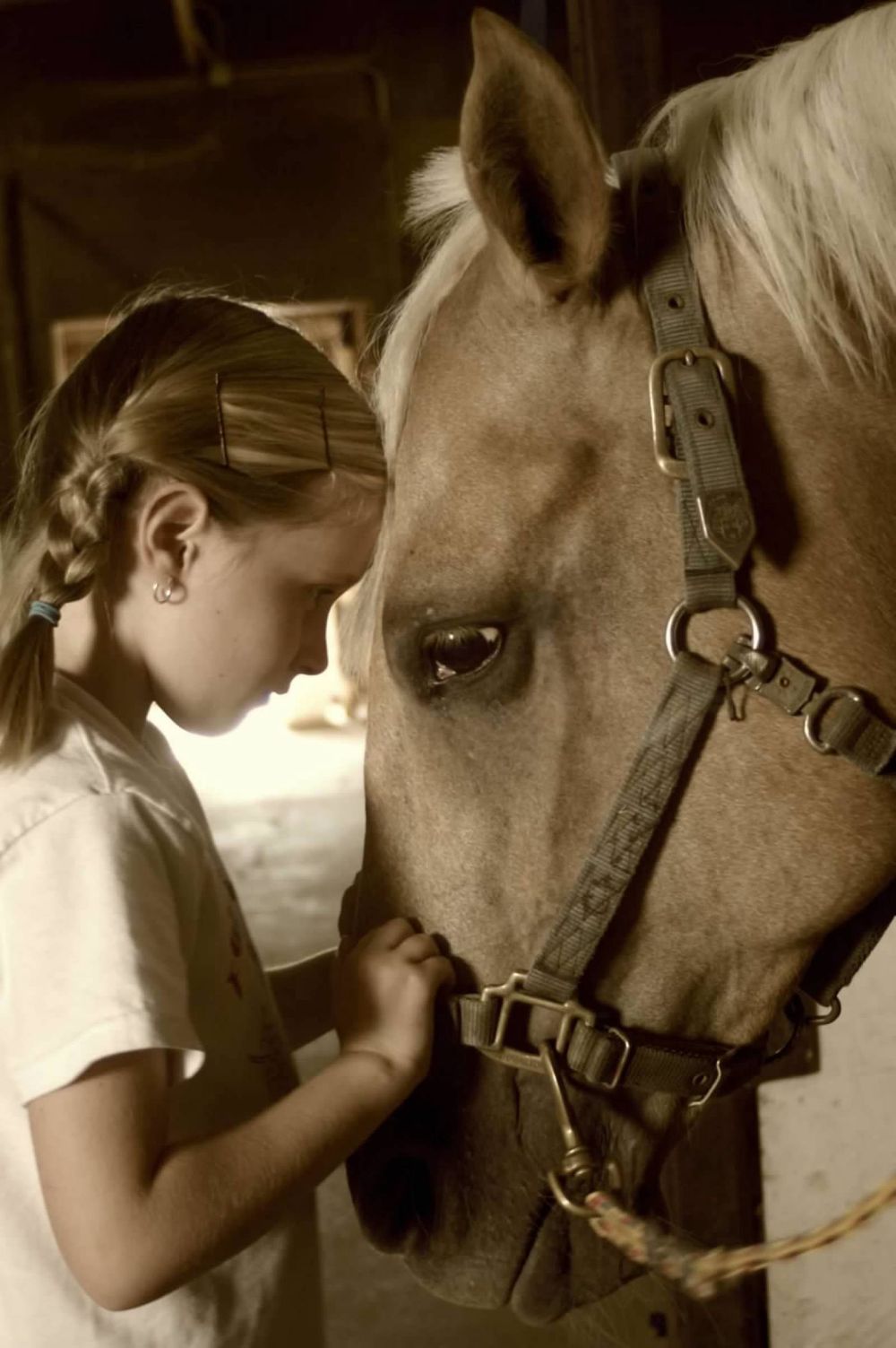 Young girl and horse share sweet moment