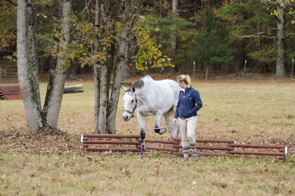 Gray horse being led over cross country jump by handler