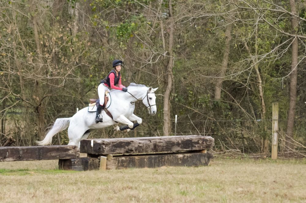 Horse and rider going over railroad tie cross country jump