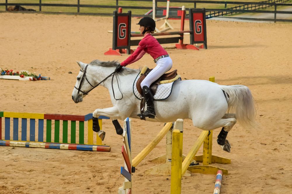 Grey horse and rider jumping over an oxer