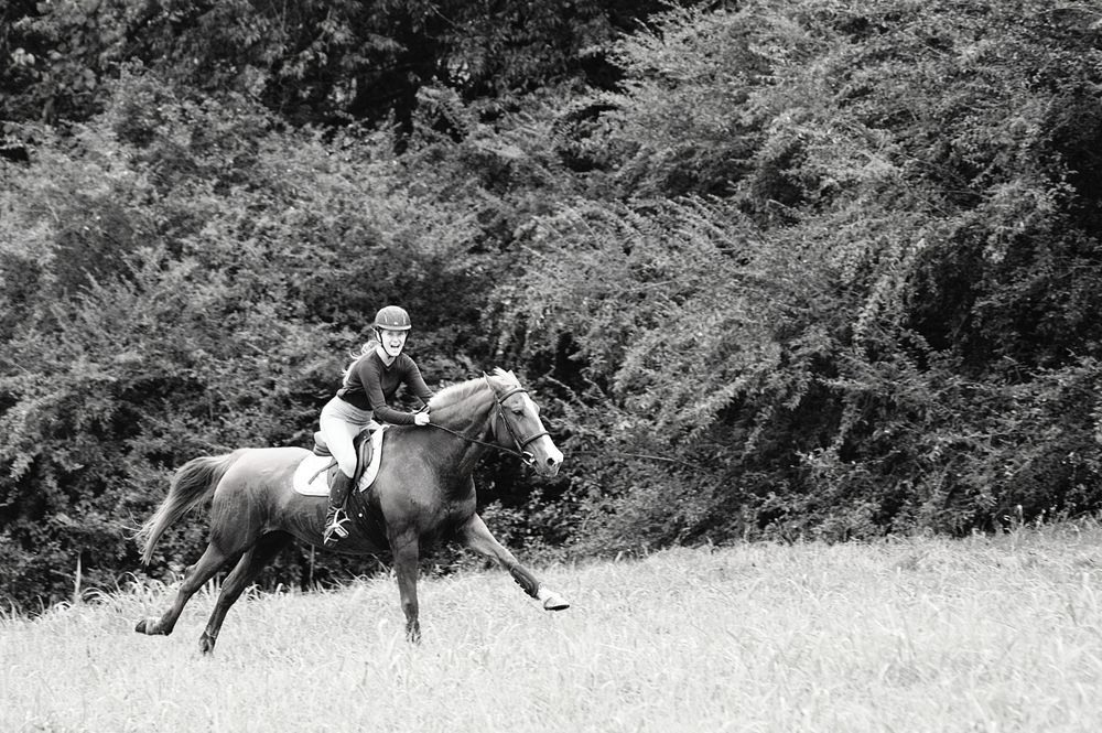Horse and rider galloping through field