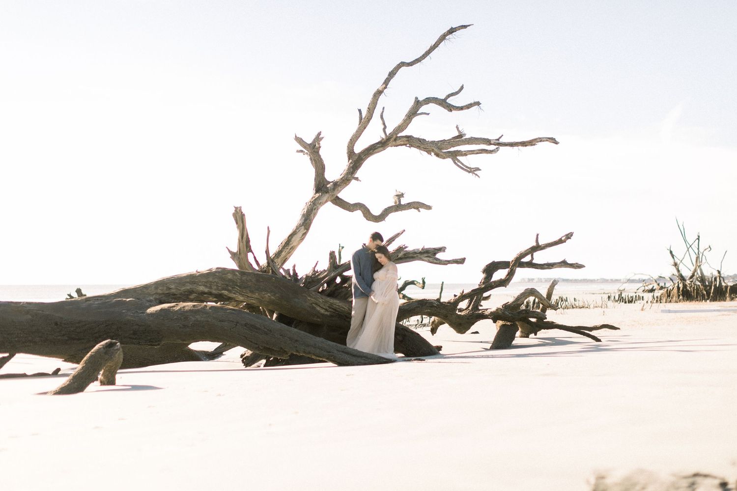 Couple embracing from maternity photos on Hunting Island, among driftwood on a sandy beach, creating a romantic coastal scene.
