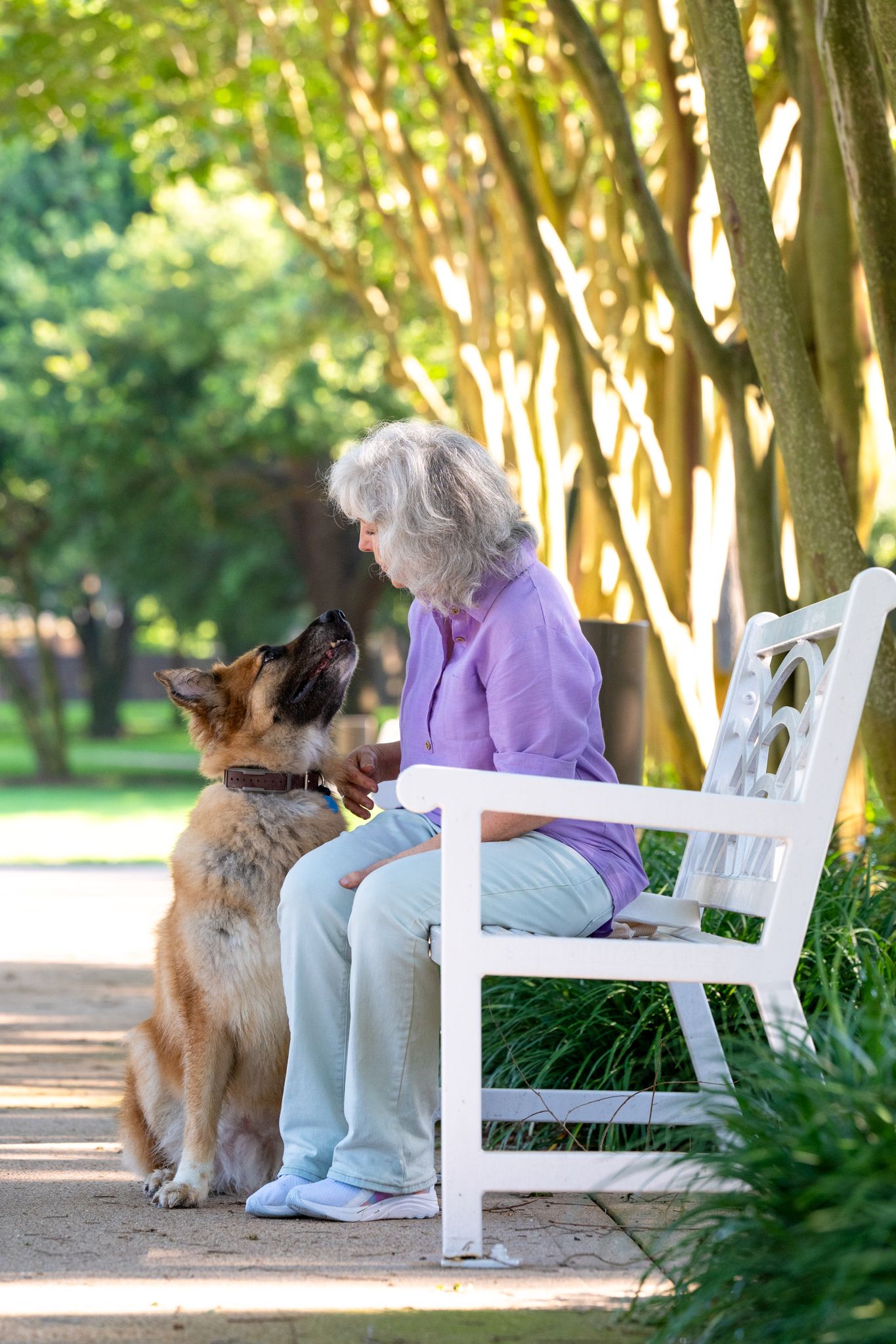 Intimate dog portrait capturing the bond between dog and owner, Houston pet photographer Kelly J. Russo.