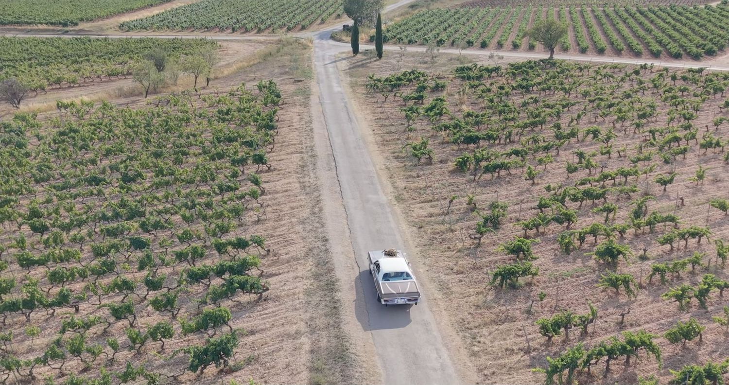 Vue drone de la voiture de collection sur une route bordée de vignes, extraite du film de mariage de Justine et Ludovic.
