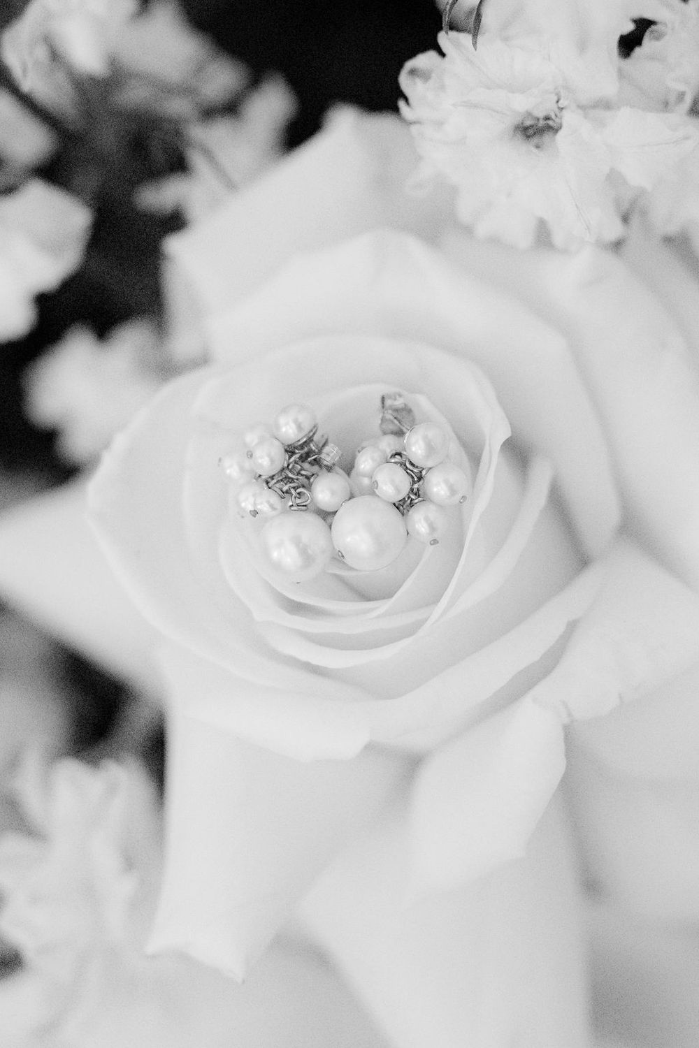 Black and white photo of pearl earrings resting inside a blooming rose surrounded by flowers.