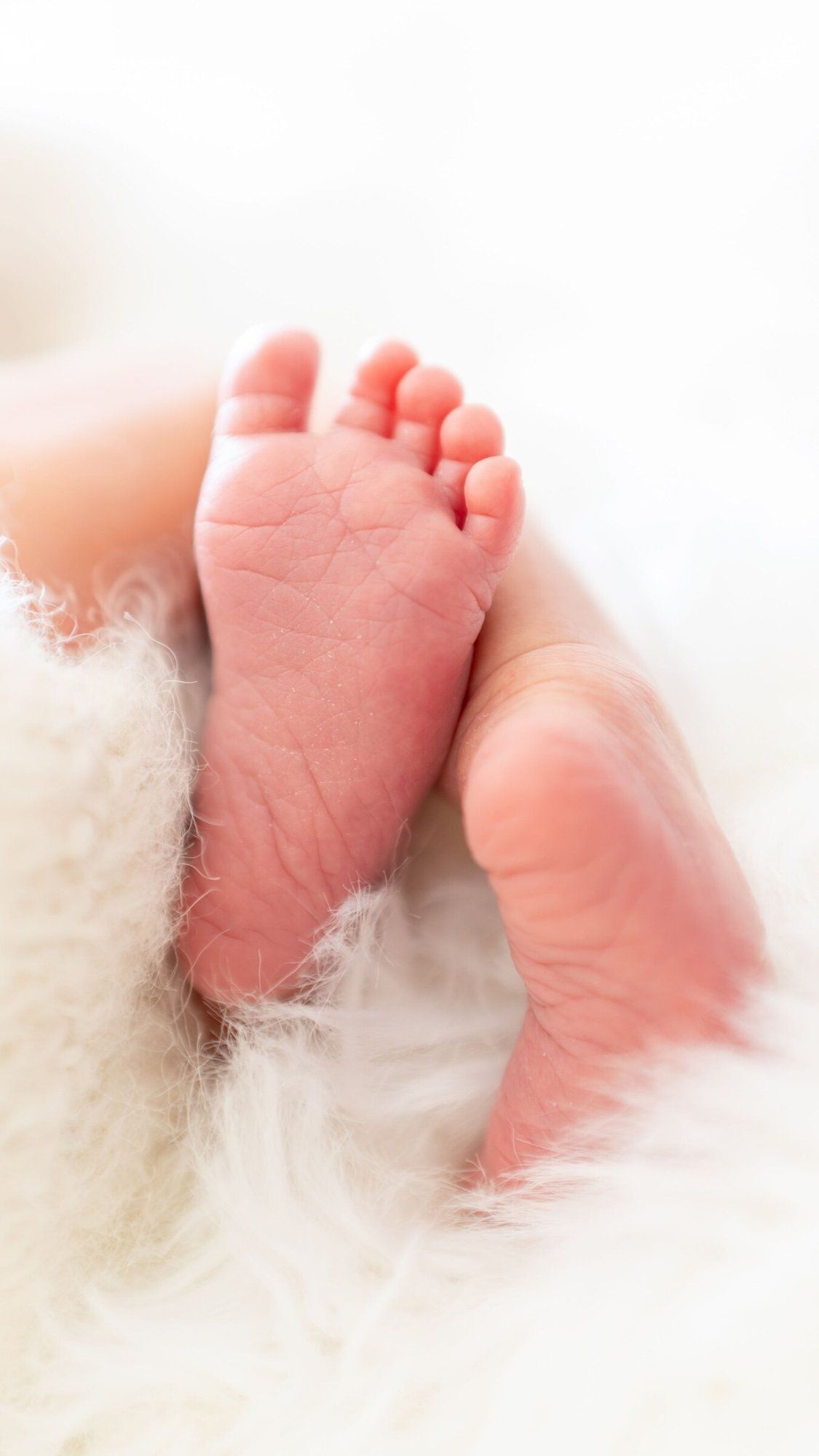 Close-up of tiny newborn baby feet resting on a soft white fluffy blanket, perfect for birth announcements.