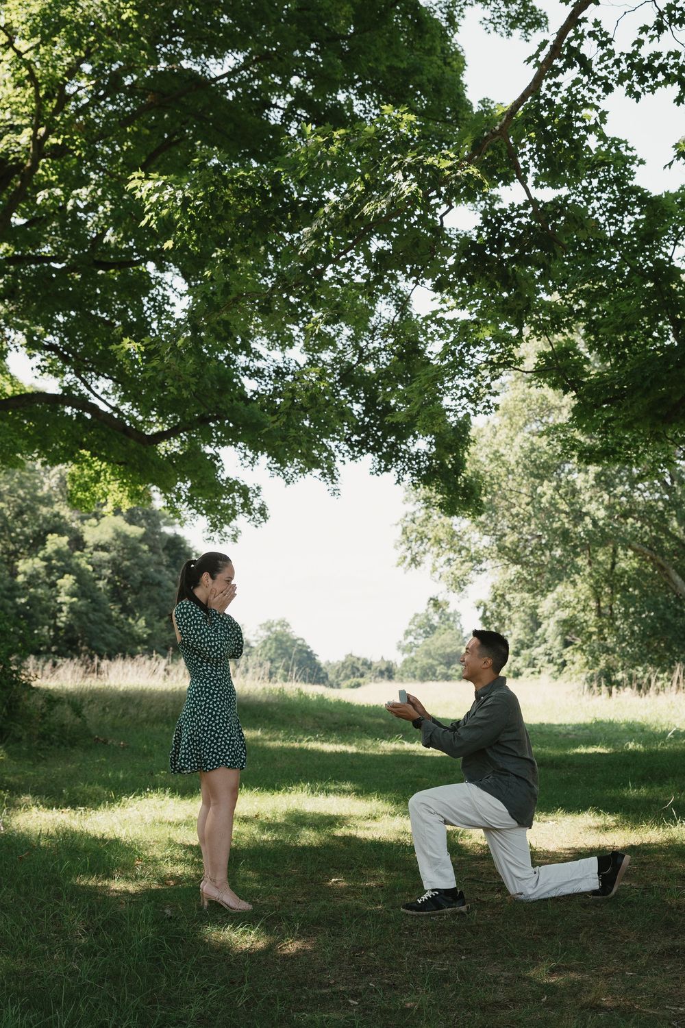 Man proposing on one knee to woman in green dress outdoors under large tree in sunny park setting.