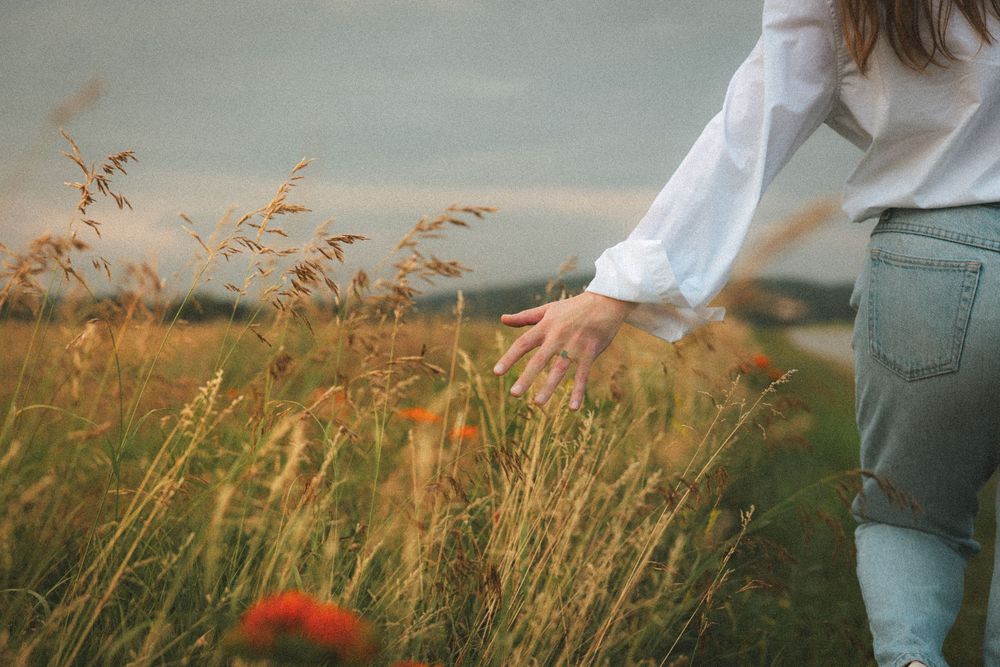 Woman in white shirt and jeans gently touching tall golden grass in a scenic meadow at sunset.