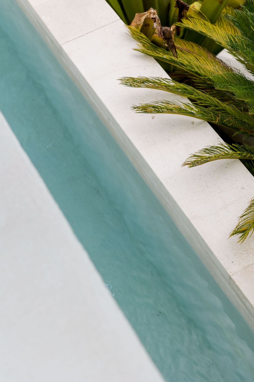 Aerial view of a turquoise swimming pool edge with white coping and tropical palm fronds in a luxury outdoor setting.