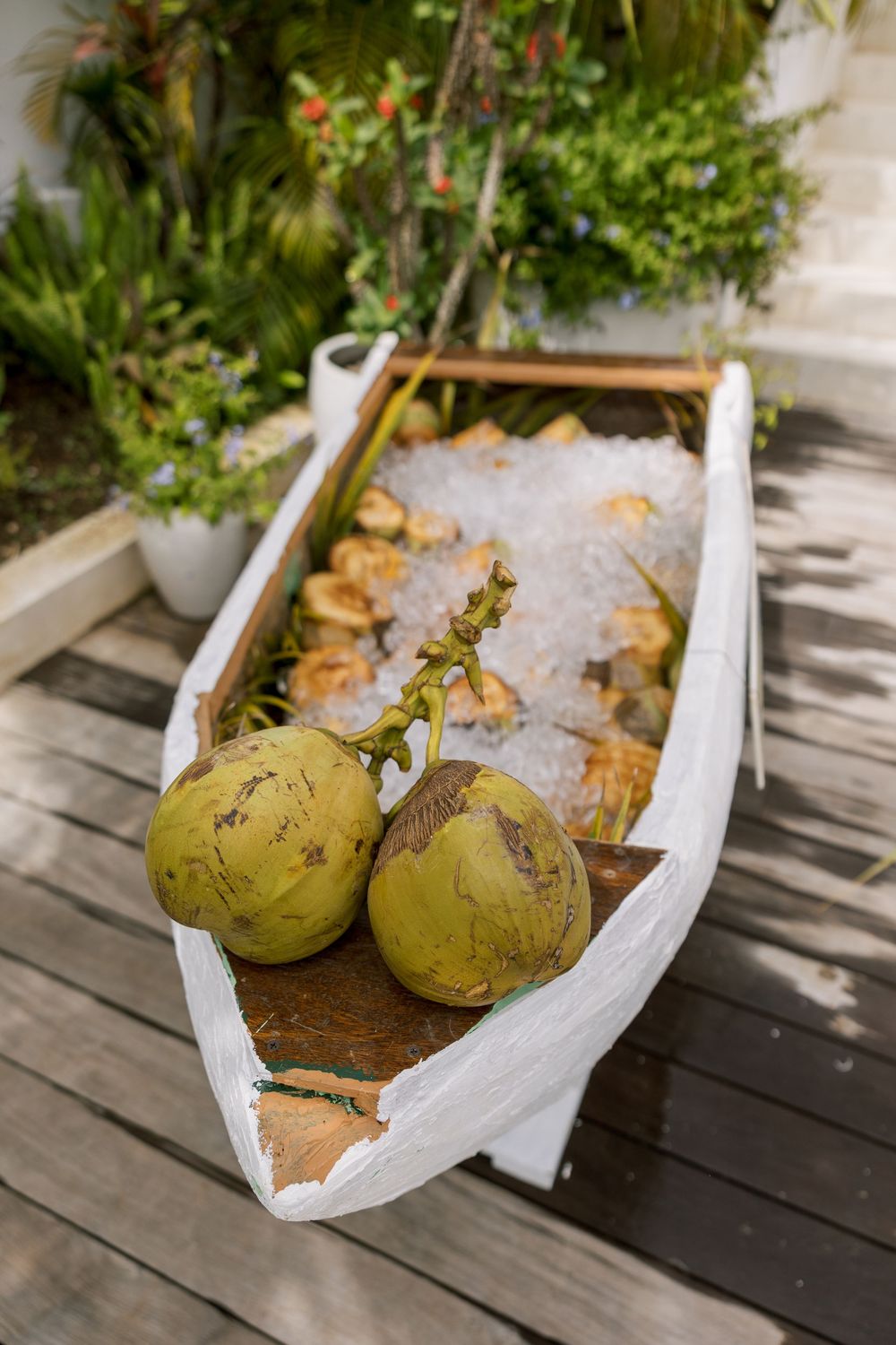 Two fresh green coconuts resting in a white wooden boat filled with ice, displayed outdoors on a wooden deck.