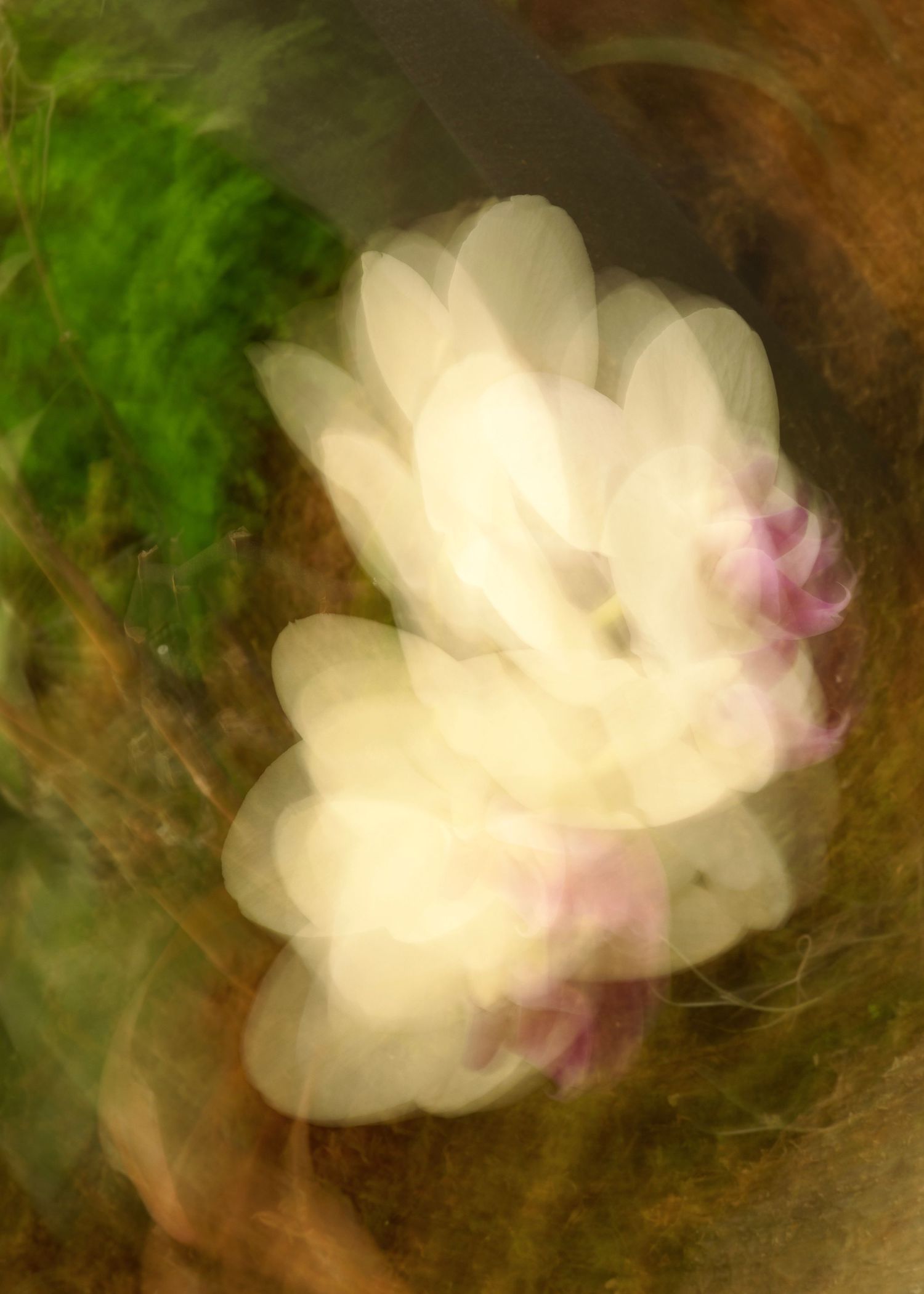 Abstract motion blur art featuring vibrant red and green colors in swirling patterns.