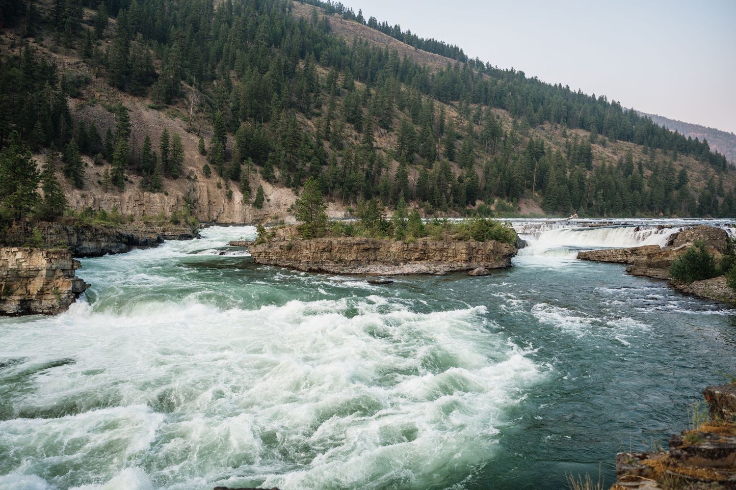 Rushing white water rapids flow through a rocky canyon surrounded by dense evergreen forest in a scenic wilderness river landscape.