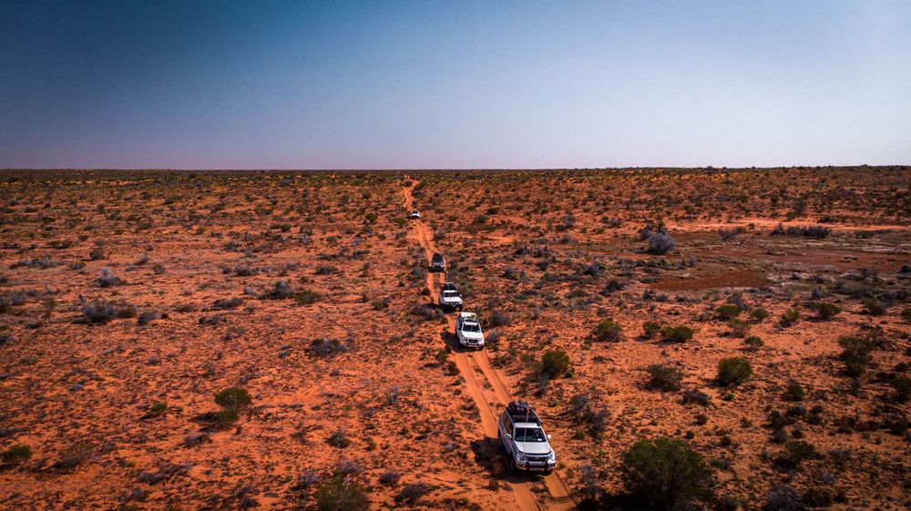Aerial view of a convoy of white 4WD vehicles driving along a red dirt track through the Australian outback desert.