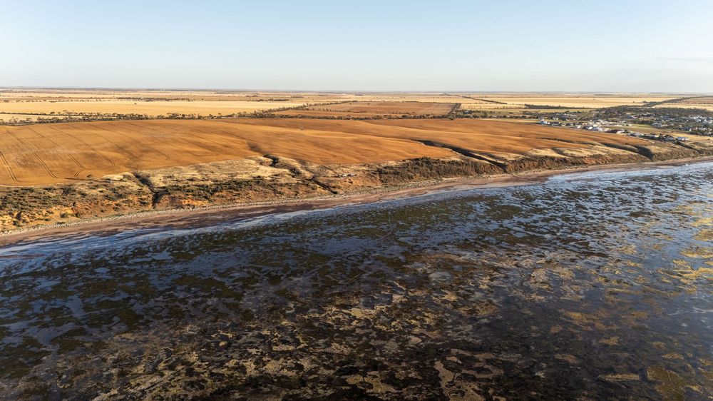 Aerial view of a coastal wetland meeting dry farmland under a clear blue sky in a remote landscape.