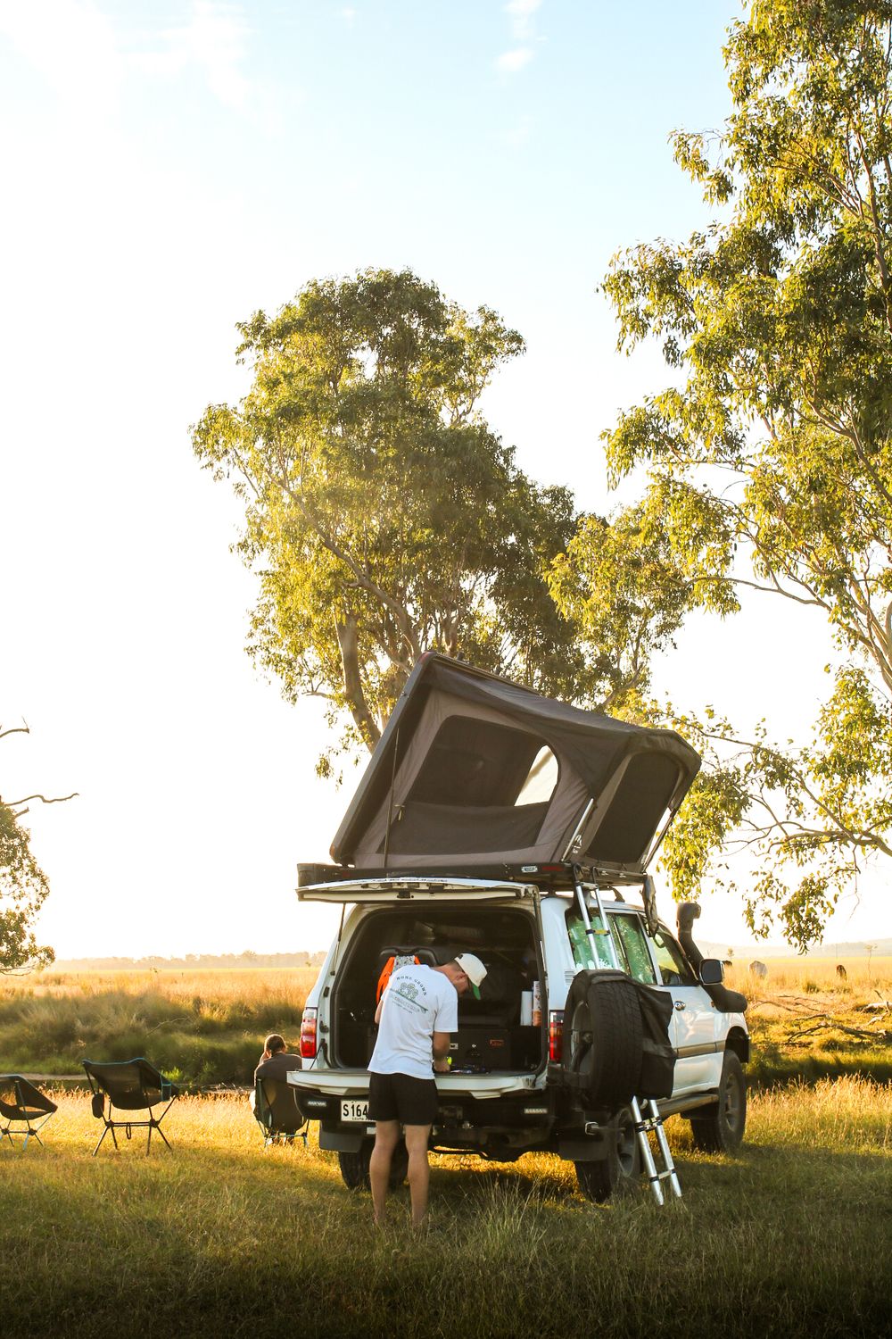 Person standing at open 4WD vehicle with rooftop tent in golden hour light, surrounded by grassland and eucalyptus trees.