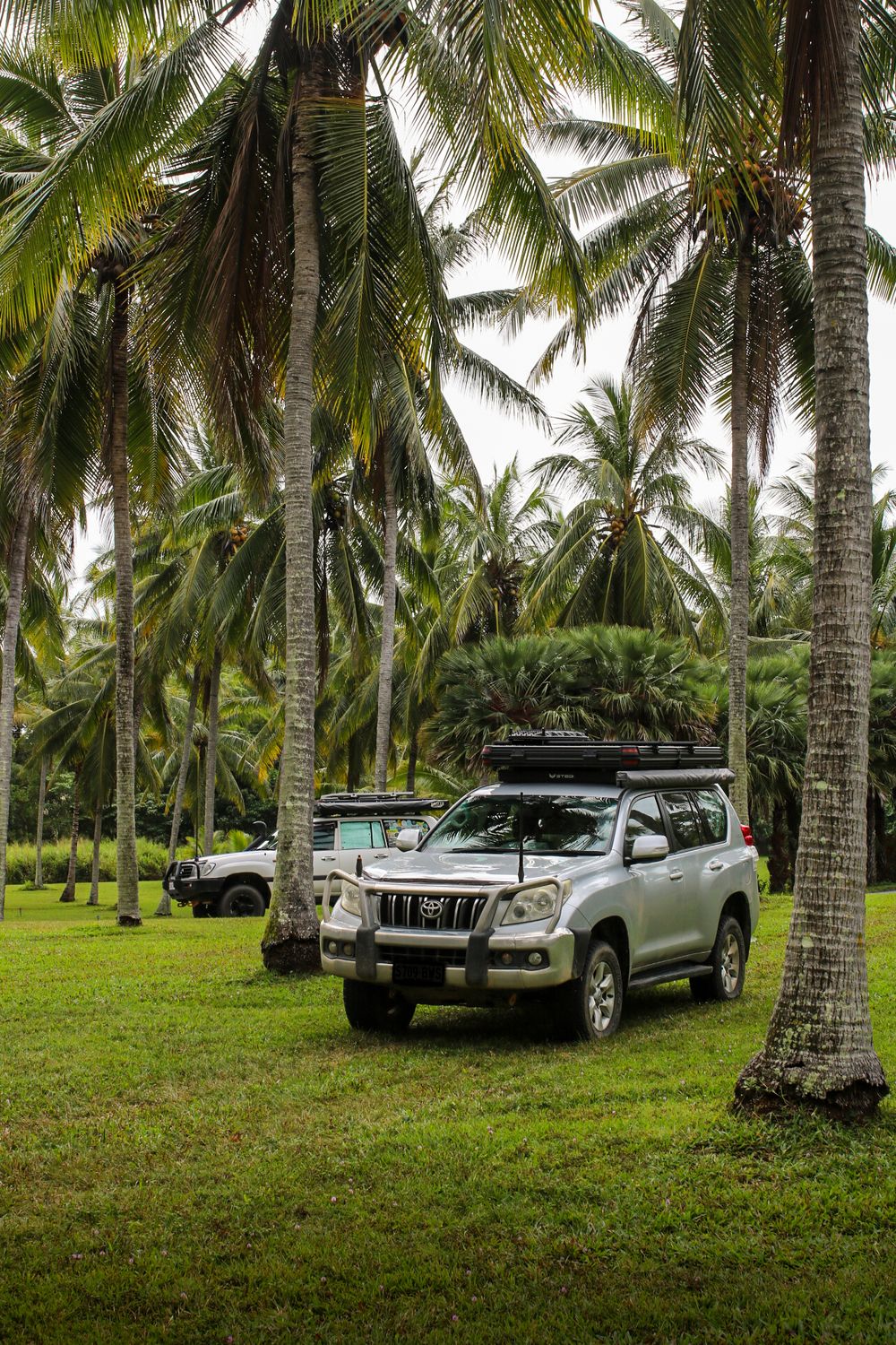 Silver Toyota Land Cruiser Prado with roof rack parked among tropical palm trees on lush green grass.