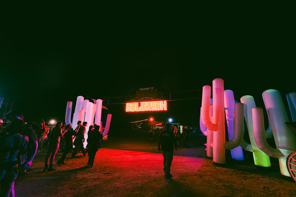 Neon cactus installations light up a festival entrance at night with glowing signs and crowds.