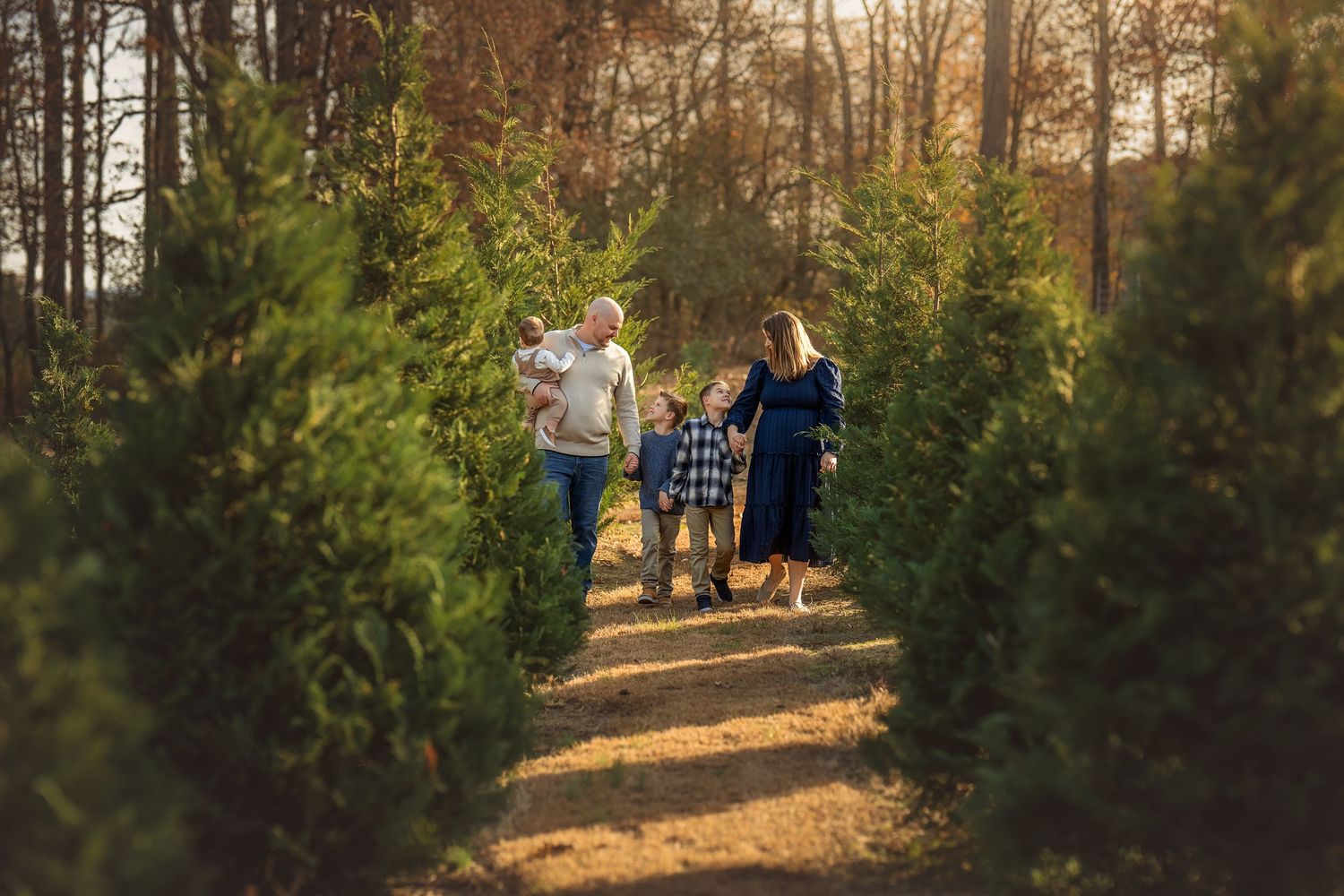 Family walking between rows of Christmas trees at a tree farm during golden hour sunset light.