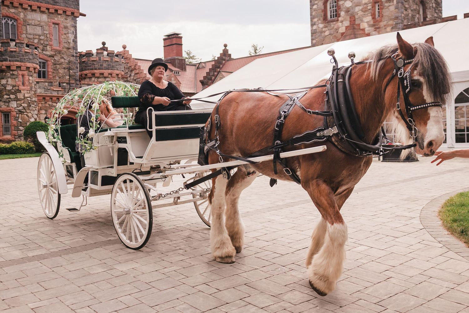 A Clydesdale horse pulling the newlyweds' carriage past the castle towers, bride and groom seated together inside.